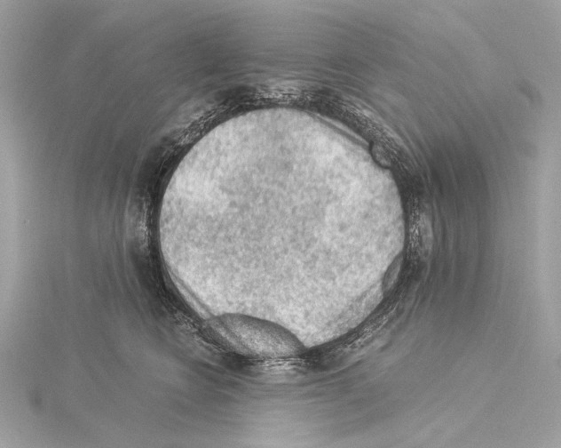 X0000115060566200912071153