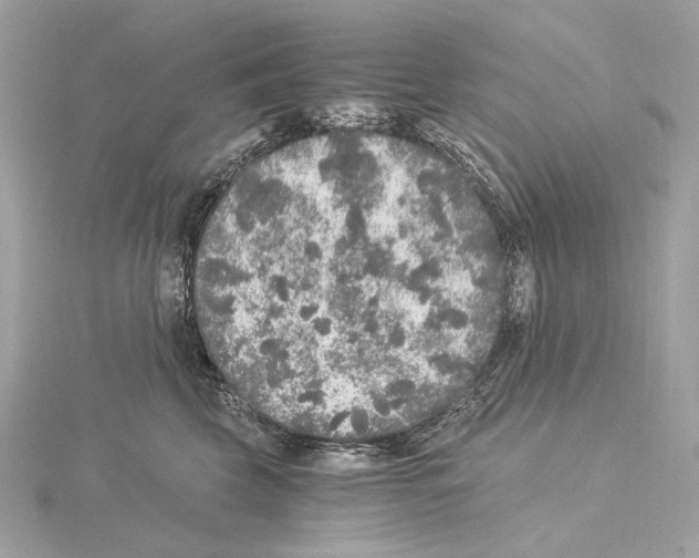 X0000115060569200912071153