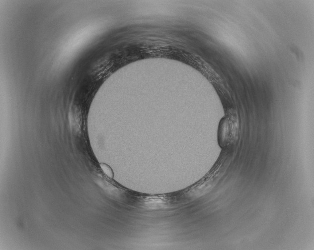 X0000115060574200912071153