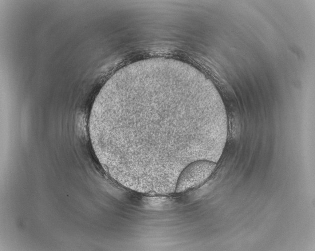 X0000115060575200912071153