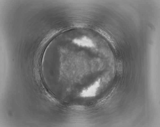 X0000115060577200912071153