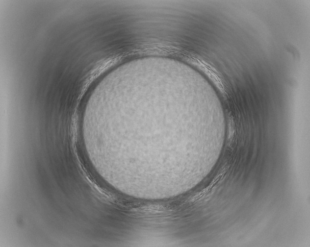 X0000115060578200912071153