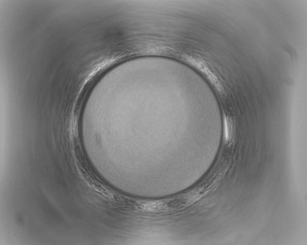 X0000115060579200912071153