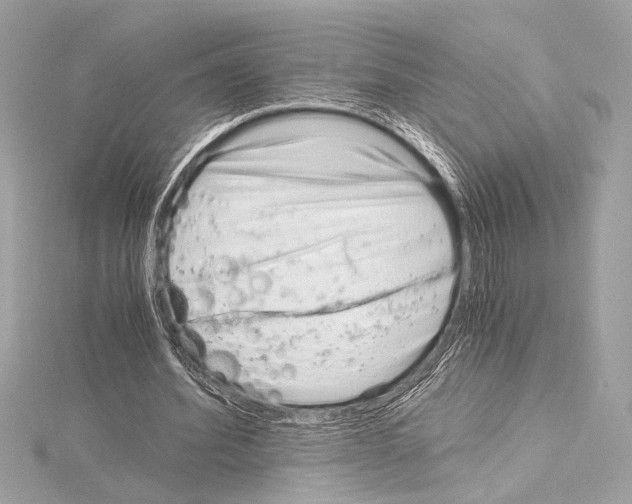 X0000115060580200912071153