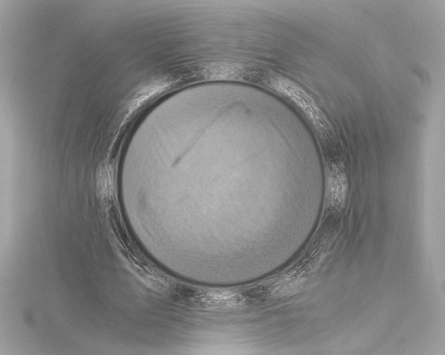 X0000115060583200912071153