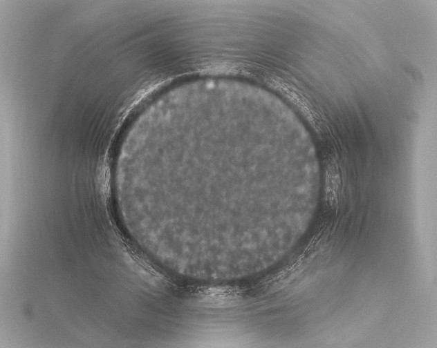 X0000115060584200912071153