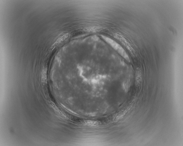 X0000115060585200912071153