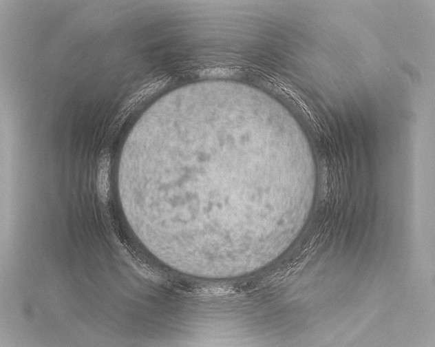 X0000115060586200912071153