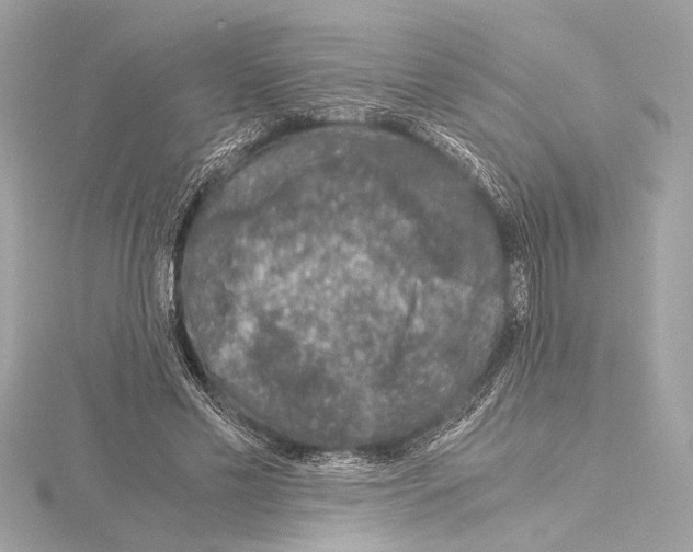 X0000115060589200912071153