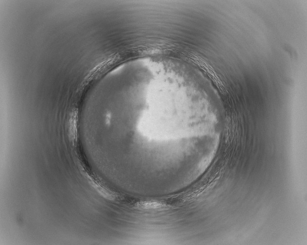 X0000115060590200912071153