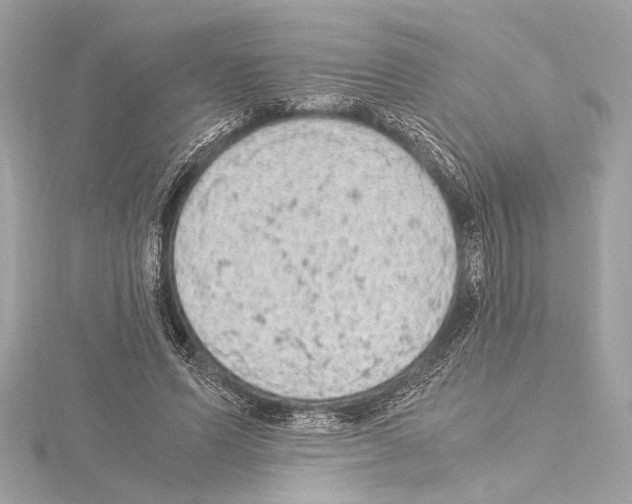 X0000115060591200912071153