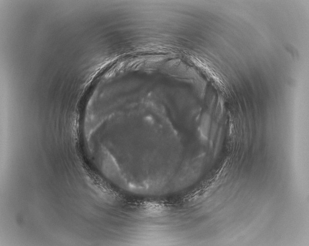 X0000115060592200912071153