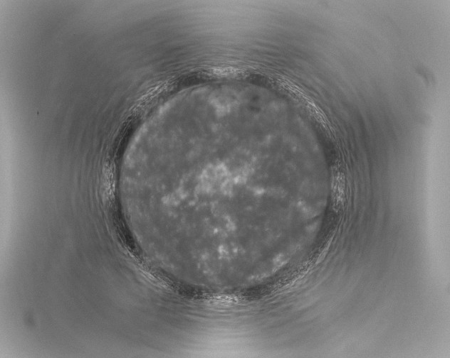 X0000115060593200912071153