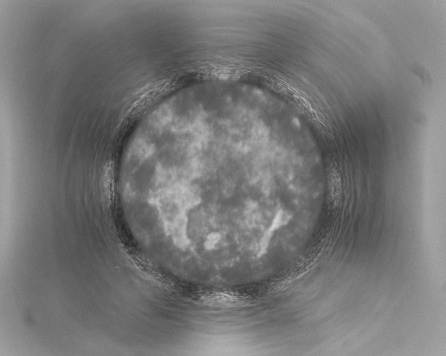 X0000115060594200912071153