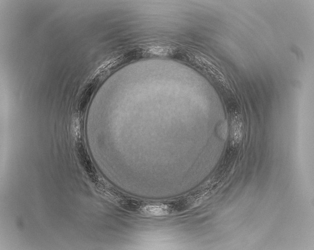 X0000115060595200912071153