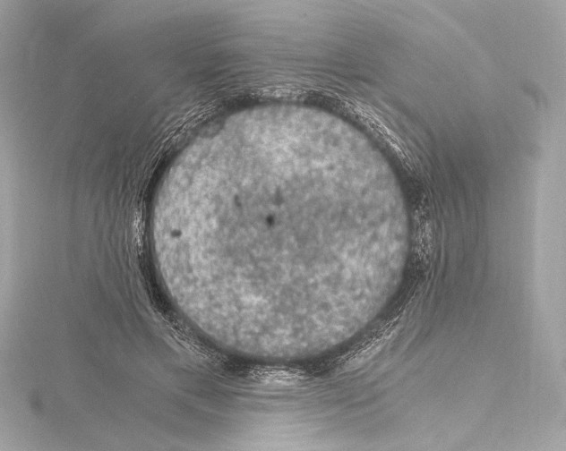 X0000115060597200912071153