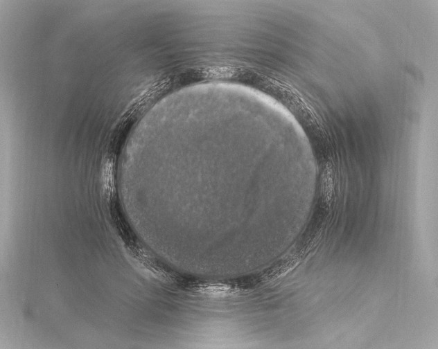 X0000115060598200912071153