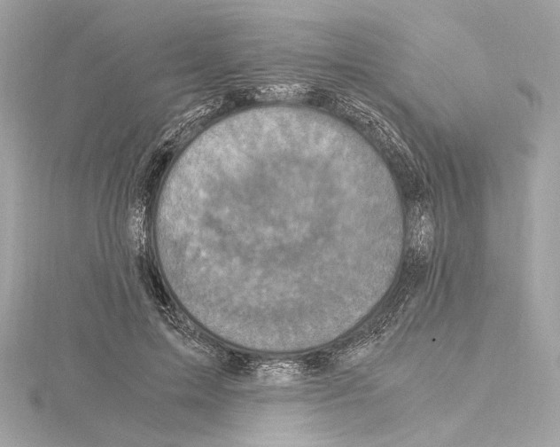 X0000115060599200912071153