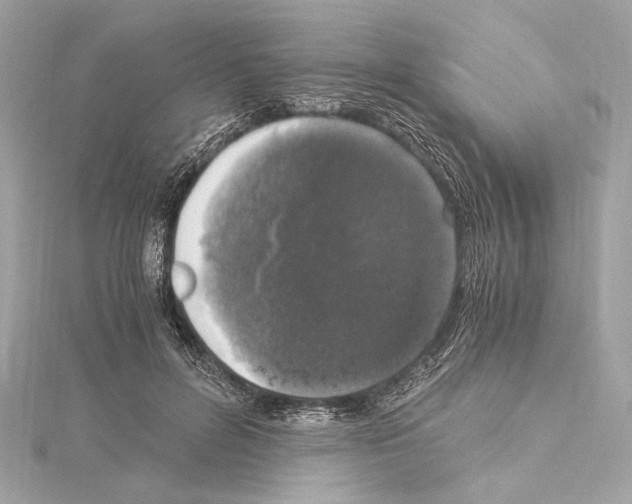 X0000115060600200912071153