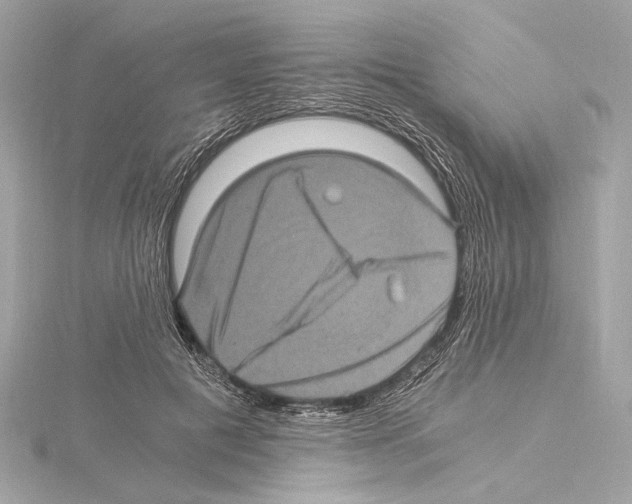 X0000115060601200912071153