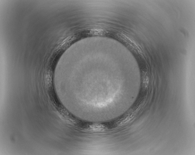 X0000115060603200912071153