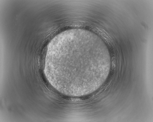 X0000115060605200912071153