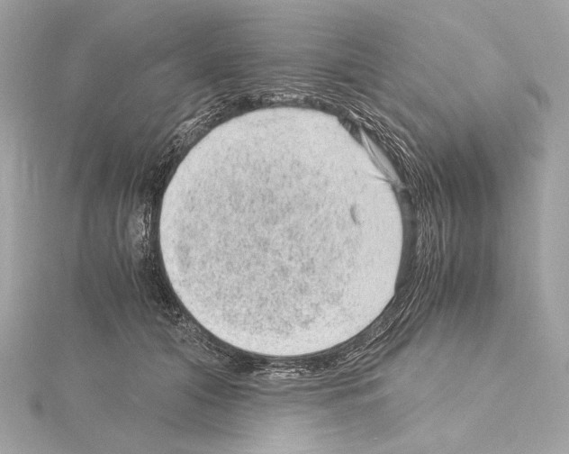 X0000115060608200912071152