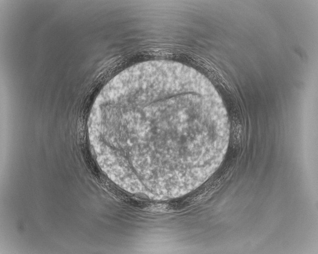 X0000115060609200912071152