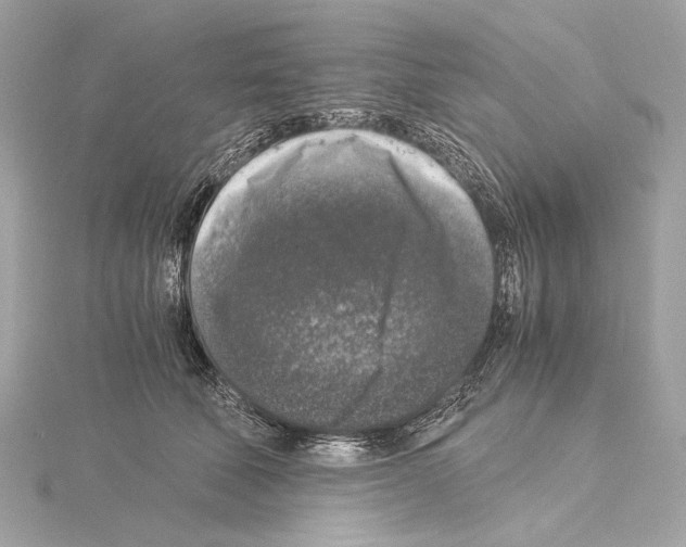 X0000115060610200912071152