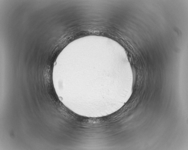 X0000115060612200912071152