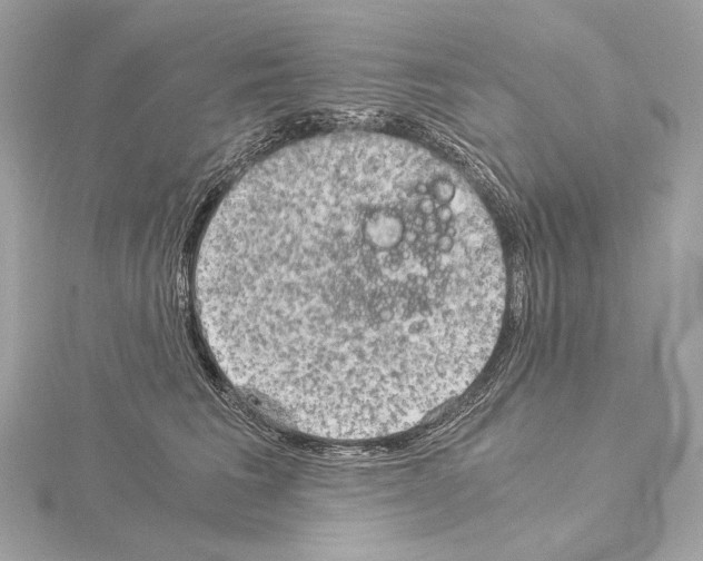 X0000115060613200912071152