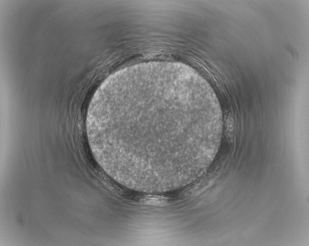 X0000115060617200912071152