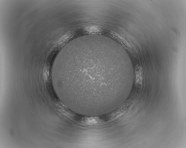 X0000115060618200912071152