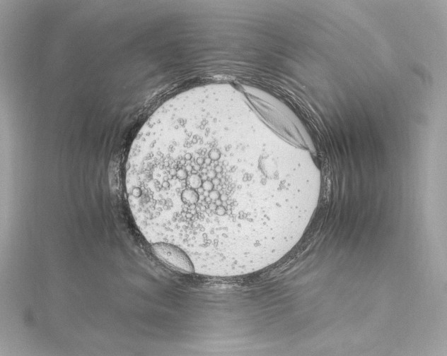 X0000115060620200912071152