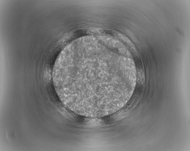 X0000115060621200912071152