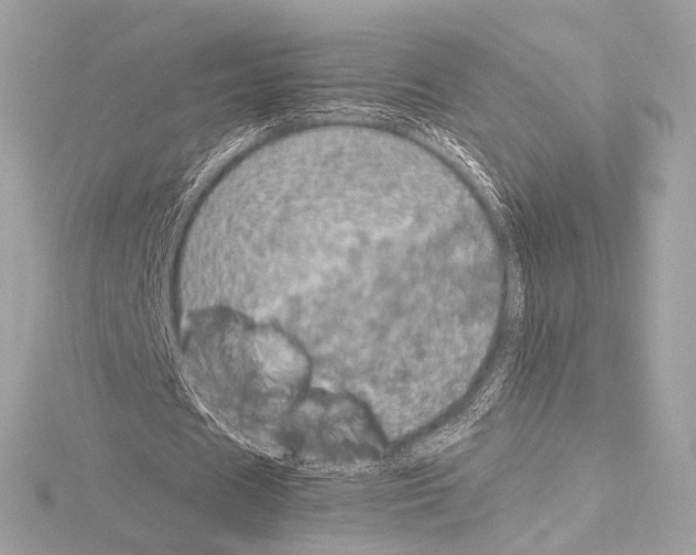 X0000115060625200912071152