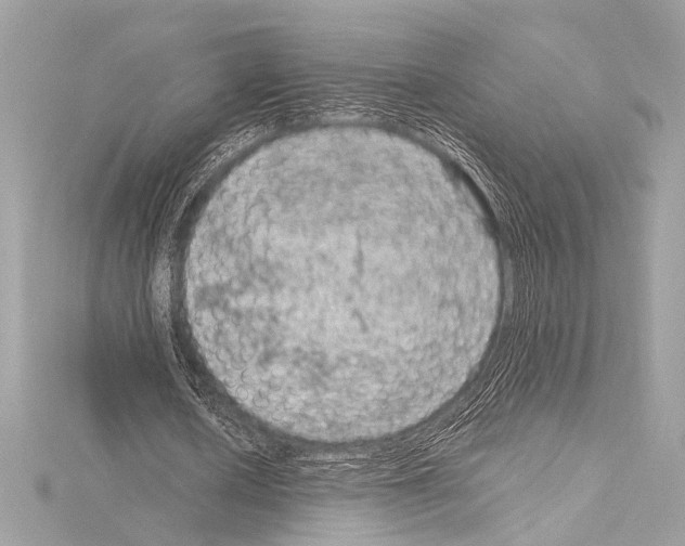 X0000115060626200912071152