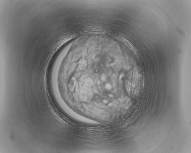 X0000115060627200912071152