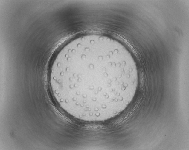 X0000115060629200912071152