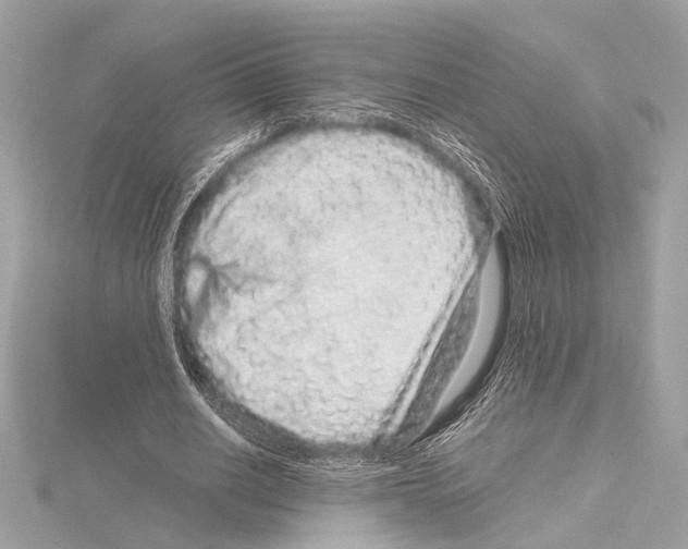 X0000115060630200912071152