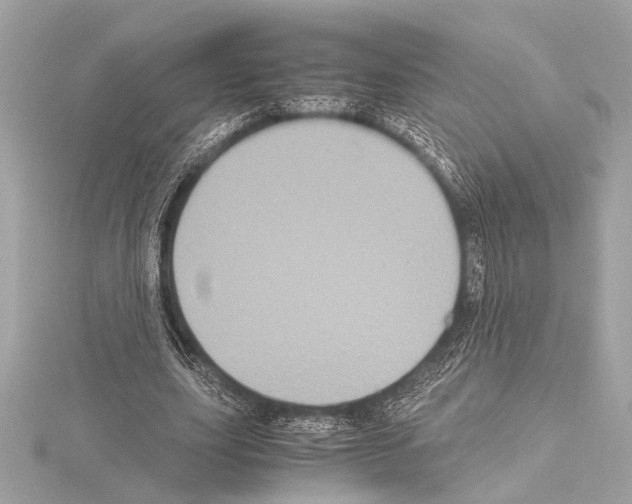 X0000115060631200912071152