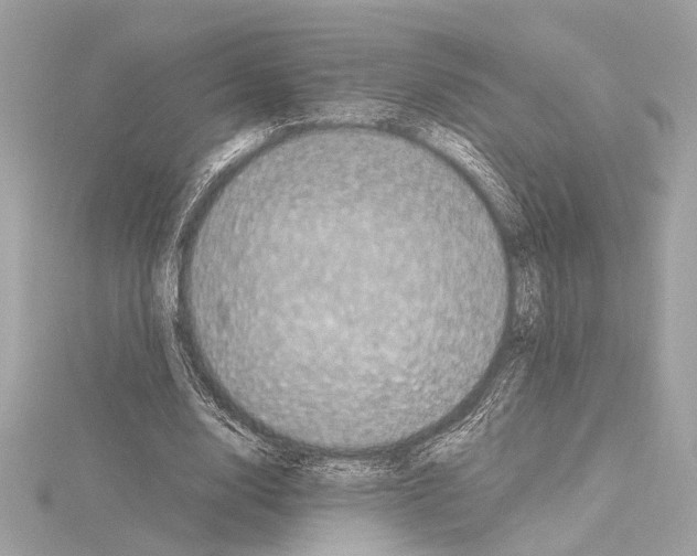 X0000115060632200912071152