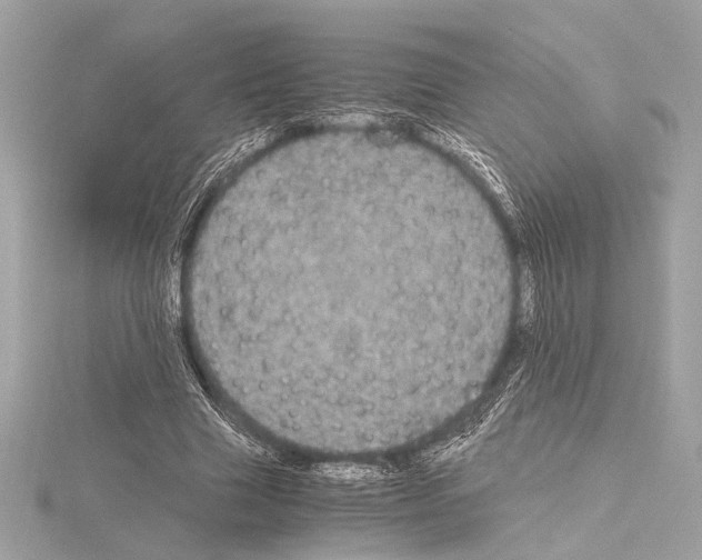 X0000115060633200912071152