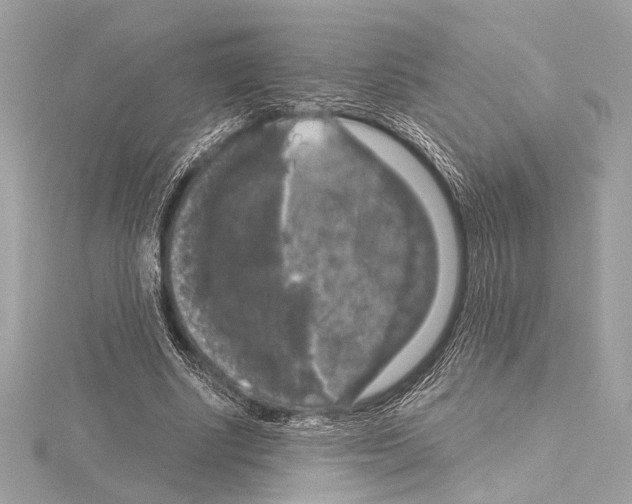 X0000115060634200912071152