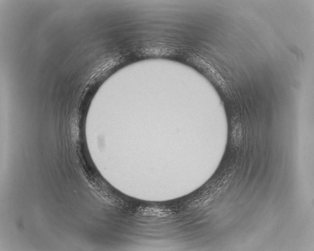 X0000115060635200912071152