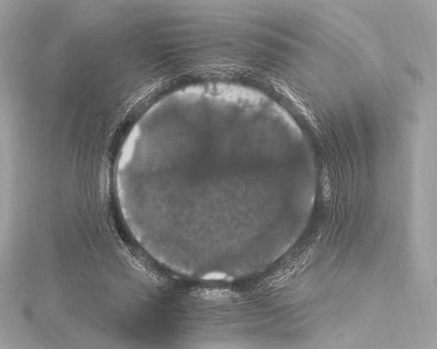 X0000115060637200912071152