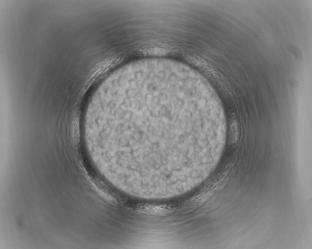 X0000115060638200912071152