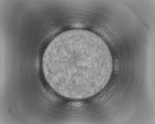 X0000115060639200912071152