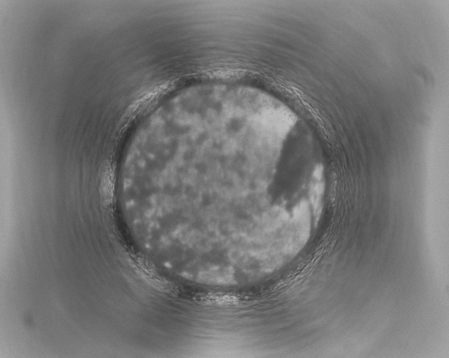 X0000115060640200912071152