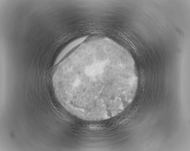 X0000115060641200912071152